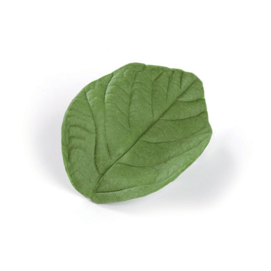 Empreinte silicone 12 - Feuille