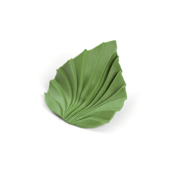 Empreinte silicone 16 - Feuille