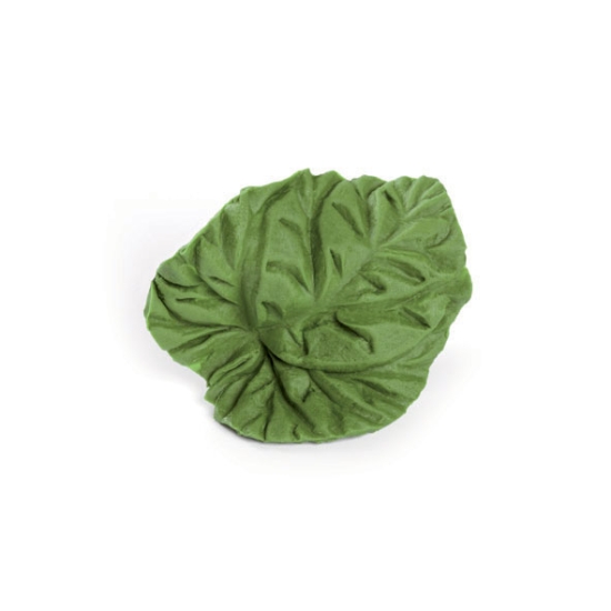 Empreinte silicone 17 - Feuille