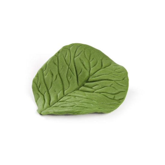 Empreinte silicone 18 - Feuille