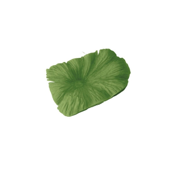 Empreinte silicone 23 - Feuille