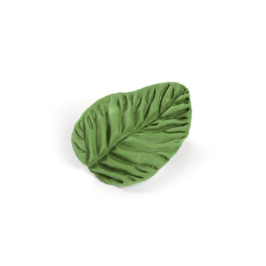 Empreinte silicone 26 - Feuille