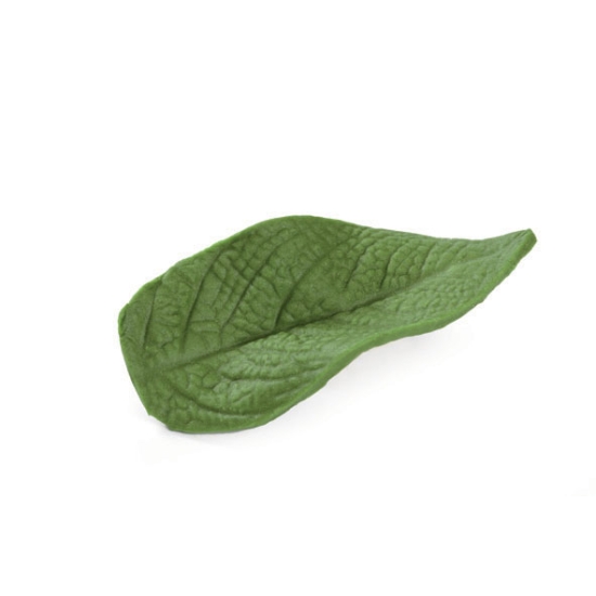 Empreinte silicone 28 - Feuille