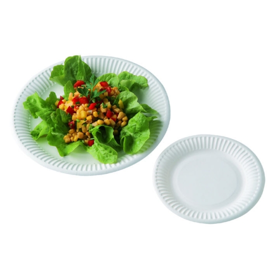Assiettes en carton