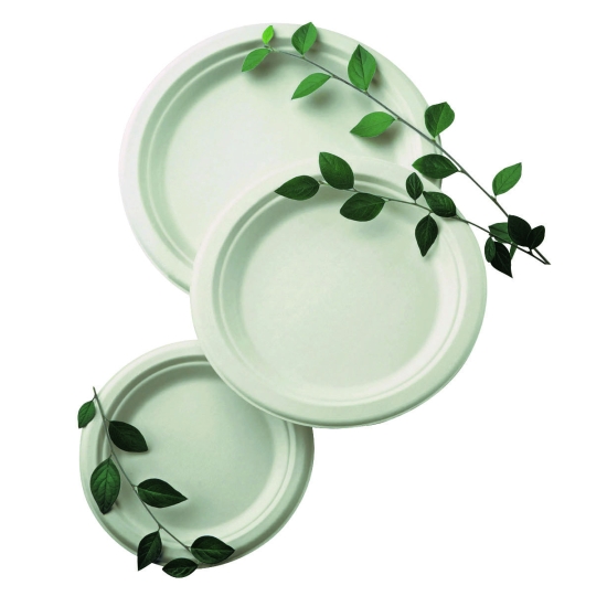 Assiettes plates fibre
