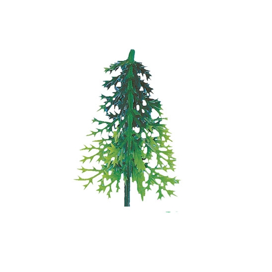 Sapin volume
