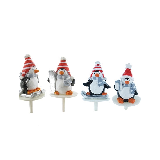 Pingouins sports d'hiver