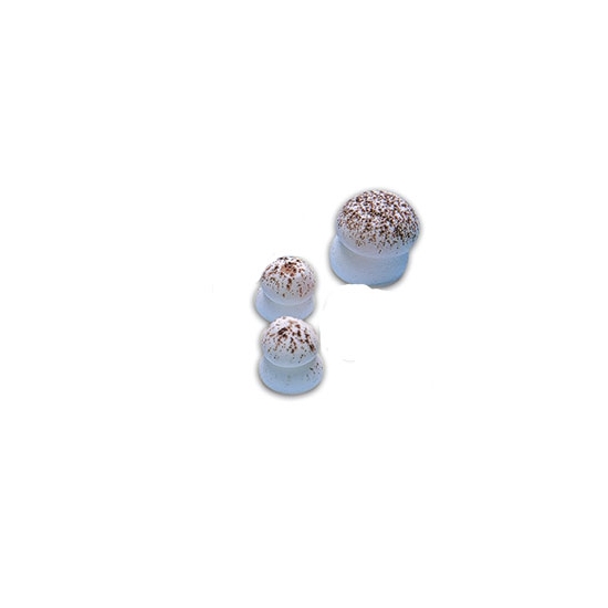 Sujets sucre - Champignons sucre Beige grand modèle