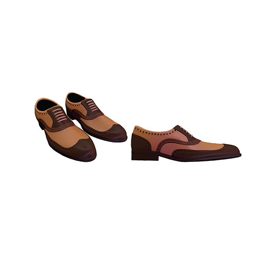 Moule chaussure