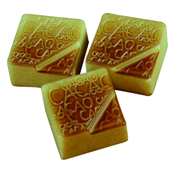 Praline carrées " cacao "  - 24 empreintes - 9 g