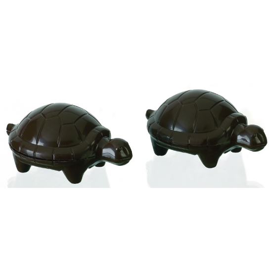 Tortues - 4 empreintes pour 2 tortues