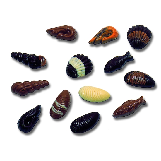 Assortiment  - 20  empreintes - 6-9  g -  Coquilles, poissons, crevettes, escargots, moules