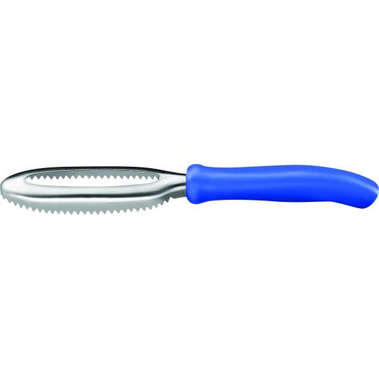 Ecailleur, Manche bleu- 28 cm
