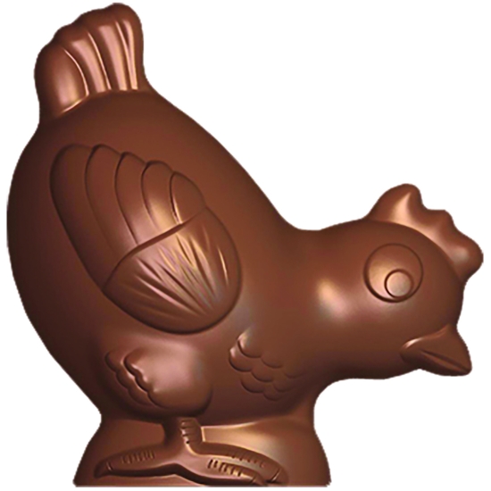 Poule 