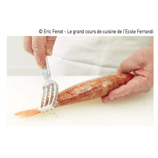 Ecailleur
