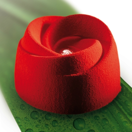 Moule silicone Pavoflex - 24 boutons de rose