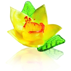 22 Jonquilles sucre tiré + 44 Feuilles