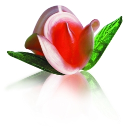 20 Roses mini assorties sucre tiré + 40 feuilles