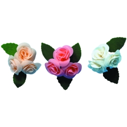 Roses moyennes - boite de 15 unités