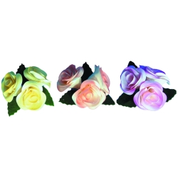 Roses nuancées - boite de 5 unités