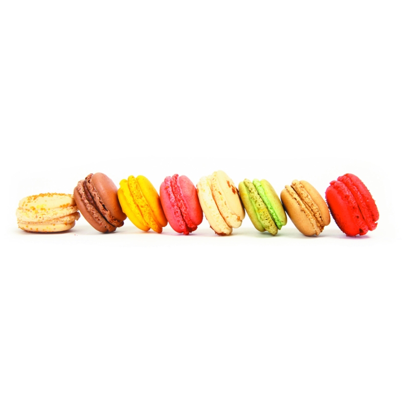 Plaque macarons en silicone -48 empreintes 