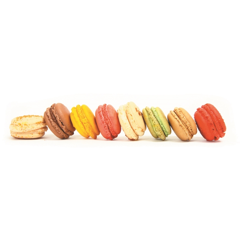 Plaque macarons en silicone -48 empreintes 