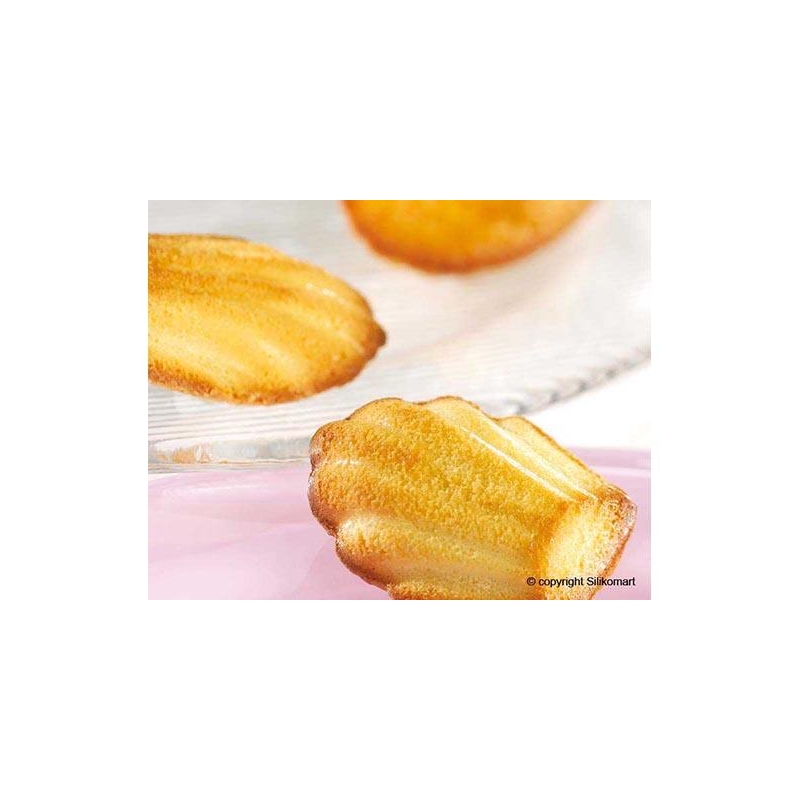 Moule 9 madeleines