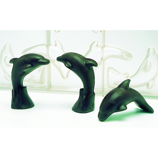 Dauphins - 8 empreintes pour 4 dauphins